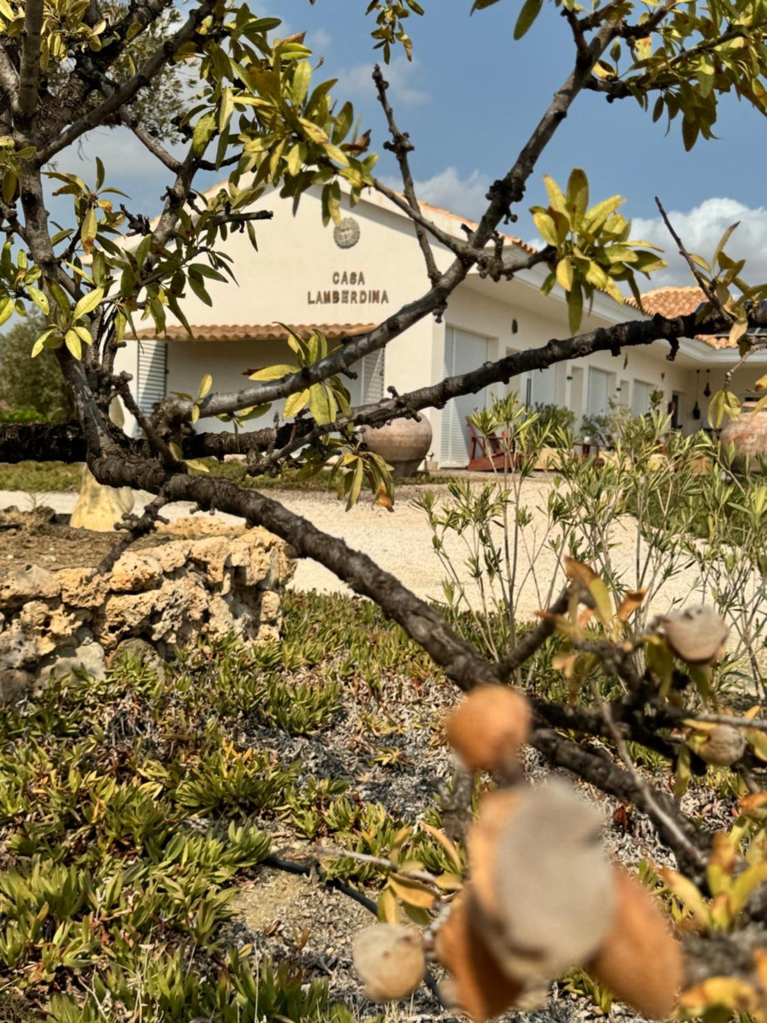 Bed and Breakfast Casa Lamberdina Fuensanta  Экстерьер фото